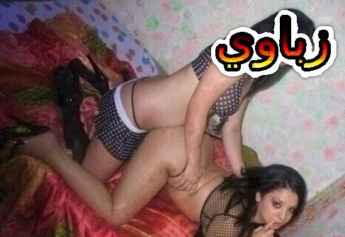 سحاقيات عربى