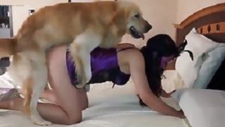 سكس حيوانات كلب يركب بنت محرومة نيك ويمتعها نيك خلفى