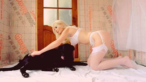 سكس بنت وكلب نيك حيوانات جديد شقراء جميلة مع كلب اسود