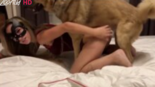 سكس حيوانات فشخ كس مغربيه من كلب شوارع ونيك كس جامد قوى