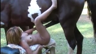 سكس المتعة مع حصان عاهرة تحاول أن تضع راس زبره الكبير في كسها