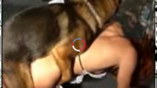 نيك كلاب ءىءء – عاهرة تمارس الجنس مع كلب ويجعلك تصرخ من سكس حيوانات