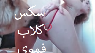 سكس كلاب فموي – مقطع ساخن لكلب يمتص كس فتاة موقع زباوي