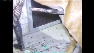 حصان يهلب علي بنت – فيديو نيك حيوانات زبره طويل يفشخ كسها