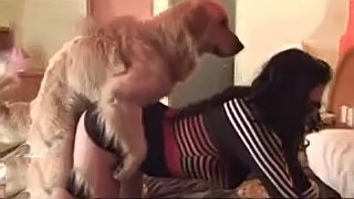 سكس كلاب ساخن – فيلم نيك حيوانات مثير حتي القذف بالكس