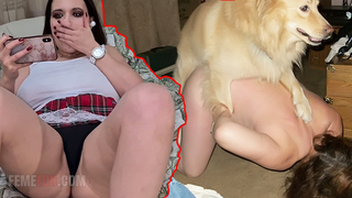 تحميل سكس كلب – فيديو نيك حيوانات مثير للغايه شاهد هنا