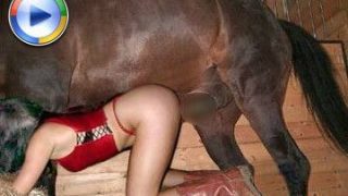 سكس حيونات اثنين من السمراوات بصورة عاهرة يمارس الجنس مع حصان في حديقة الحيوانات