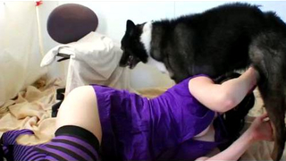 ءىءء حيوانات جديد – فتاة مقنعة تجعل الكلب سعيدًا بإمتصاصه قضيبه